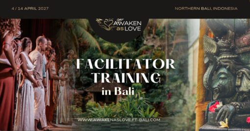 Assistant @ Facilitator Training